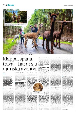 nordvastraskanestidningar_c-20251005_000_00_00_014.pdf