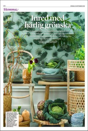 nordvastraskanestidningar_d-20180923_000_00_00_010.pdf