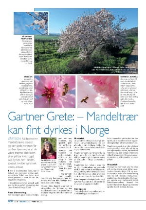 norgeidag_seksjon-20250131_000_00_00_006.pdf