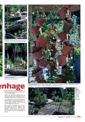 norgeidag_seksjon-20260206_000_00_00_007.pdf