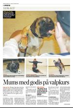 norran-20090221_000_00_00_008.pdf