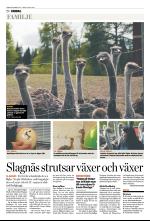 norran-20090616_000_00_00_028.pdf