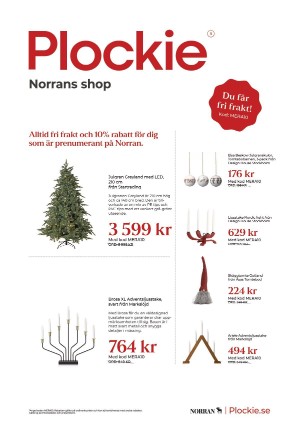 norran-20251104_000_00_00_005.pdf