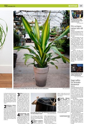 norran-20251219_000_00_00_019.pdf