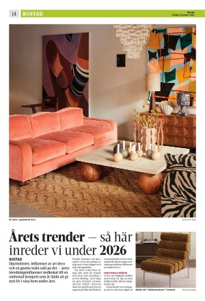 norran-20260123_000_00_00_014.pdf