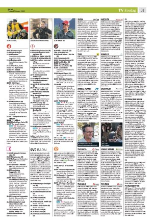 norran-20260123_000_00_00_031.pdf