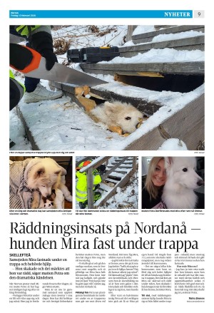 norran-20260213_000_00_00_009.pdf