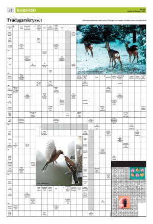 norran-20260221_000_00_00_034.pdf