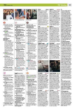 norran-20260221_000_00_00_039.pdf