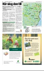 norran_bil-20081005_000_00_00_008.pdf