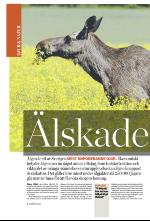 norran_bil-20081011_000_00_00_004.pdf