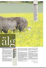 norran_bil-20081011_000_00_00_005.pdf