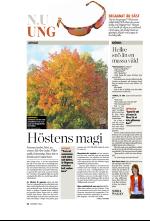 norran_bil-20081011_000_00_00_020.pdf