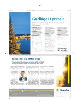 norran_bil-20090130_000_00_00_004.pdf