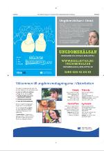 norran_bil-20090130_000_00_00_016.pdf