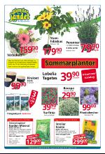 norran_bil-20090520_000_00_00_007.pdf