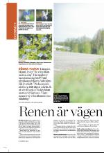 norran_bil-20090613_000_00_00_004.pdf