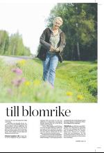 norran_bil-20090613_000_00_00_005.pdf