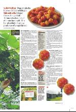 norran_bil-20090801_000_00_00_005.pdf