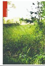 norran_bil-20090801_000_00_00_006.pdf