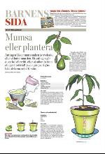 norran_bil-20090912_000_00_00_003.pdf