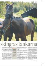 norran_bil-20090912_000_00_00_005.pdf