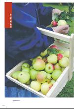 norran_bil-20090912_000_00_00_006.pdf