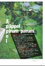 norran_bil-20090912_000_00_00_007.pdf