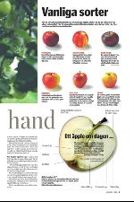 norran_bil-20090912_000_00_00_009.pdf