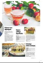 norran_bil-20090912_000_00_00_011.pdf