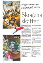 norran_bil-20090912_000_00_00_016.pdf