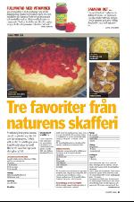 norran_bil-20090912_000_00_00_021.pdf