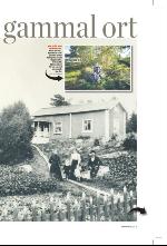 norran_bil-20091003_000_00_00_007.pdf