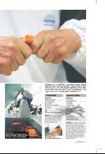 norran_bil-20091010_000_00_00_011.pdf