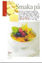 norran_bil-20100109_000_00_00_006.pdf