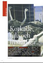 norran_bil-20100109_000_00_00_014.pdf