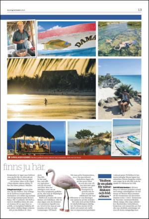 norran_bil-20101130_000_00_00_013.pdf