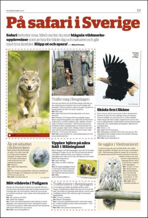 norran_bil-20101130_000_00_00_023.pdf