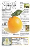 norran_del2-20080117_000_00_00_018.pdf