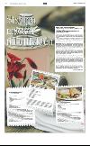 norran_del2-20080228_000_00_00_018.pdf