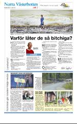 norran_del2-20080611_000_00_00_016.pdf