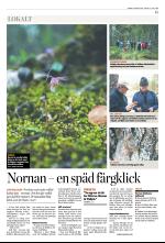 norran_del2-20090612_000_00_00_015.pdf