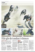 norran_del2-20090629_000_00_00_006.pdf