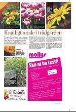 norran_hel-20100424_000_00_00_003.pdf