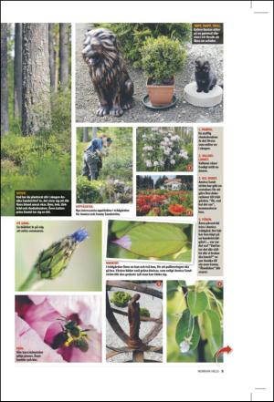 norran_hel-20100724_000_00_00_005.pdf