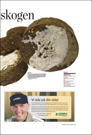 norran_hel-20101008_000_00_00_015.pdf