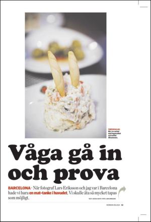 norran_hel-20110325_000_00_00_013.pdf