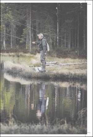 norran_hel-20110618_000_00_00_009.pdf