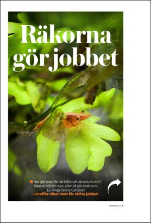 norran_hel-20150425_000_00_00_009.pdf