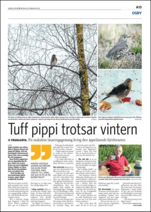norraskane-20130220_000_00_00_013.pdf